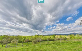 Casă cu teren de 17.681 mp, în loc. Hălmăgel, Arad - Poză 22