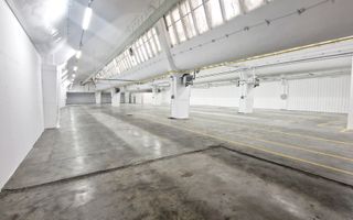Spatiu industrial flexibil (Depozitare, Logistica, Productie) - Poză 3