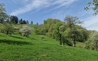 Langa emblematicul Castelul Bran, in areal colinar, 5.700mp intravilan - Poză 5