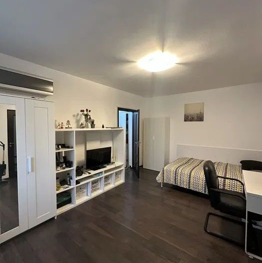 APARTAMENT 2 CAMERE POPISTEANU - Poză 3