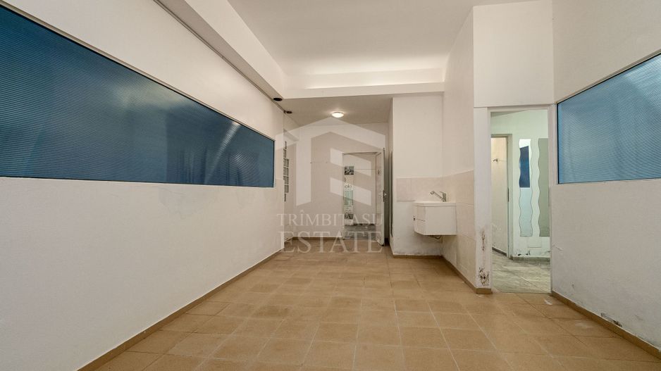 Spatiu comercial  424 mp  Oportunitati multiple - Baneasa Jandarmeriei - Poză 2