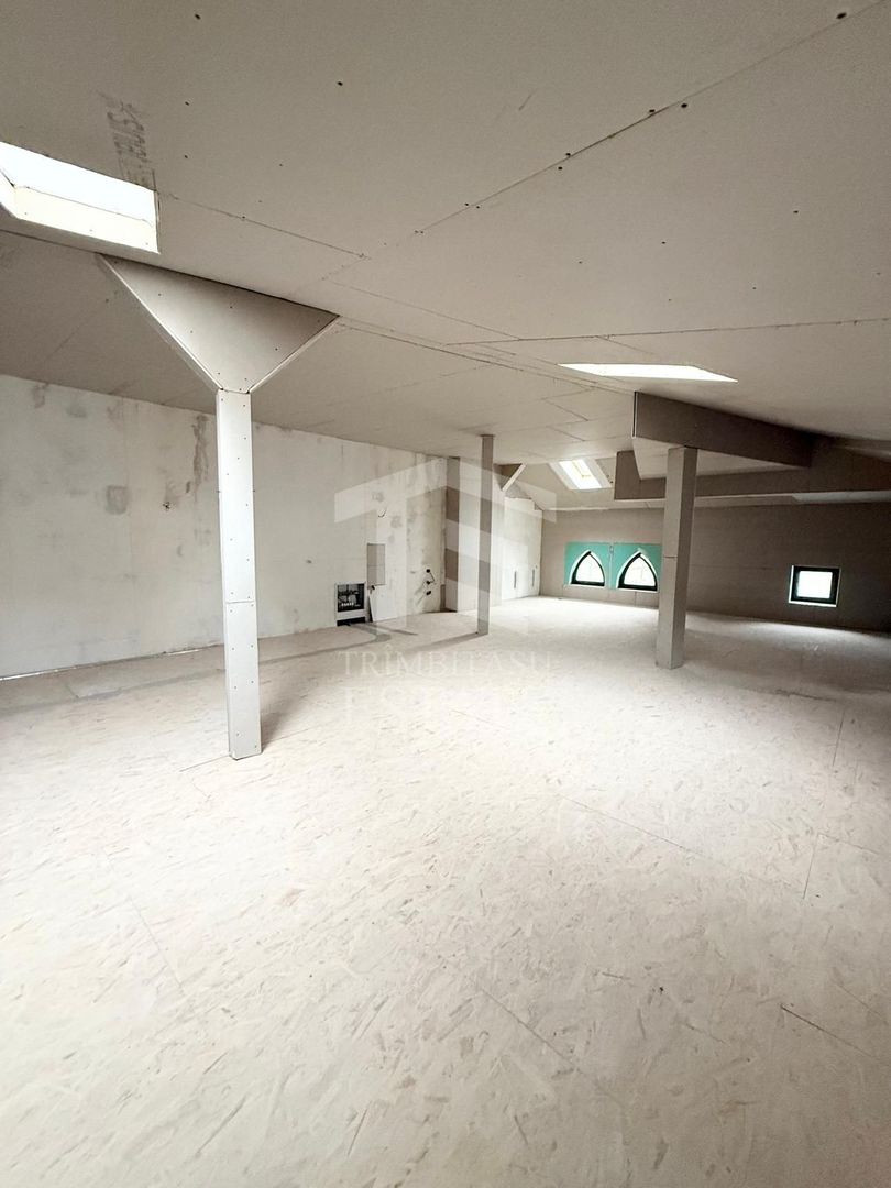 Vila individuala Icoanei Dacia - Poză 19