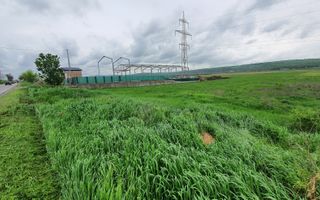 Teren 5000 mp, cu acces la DN 15D, zona Ciusmeaua Moldovencei. - Poză 1