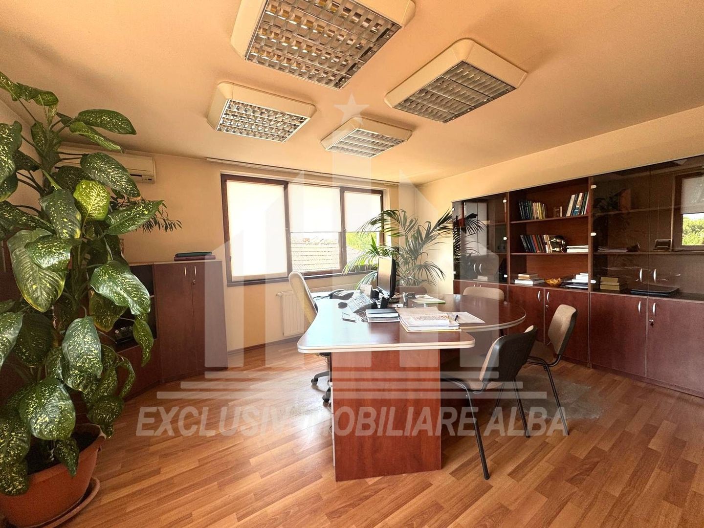 Spatiu de birouri P + 2E de vanzare, Cetate - Poză 5