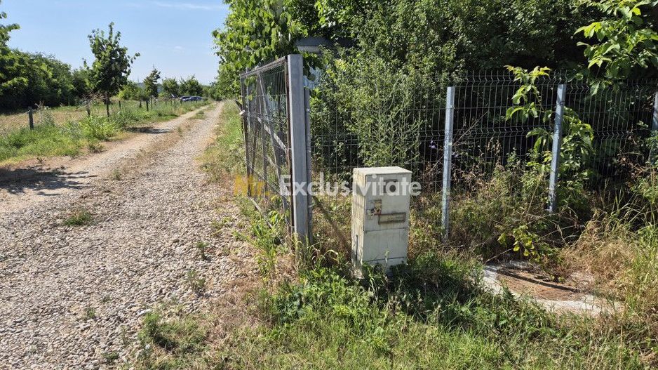 Priveliste spre lac! - Poză 7