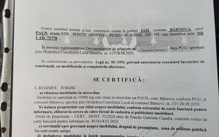 Teren intravilan 10.000 mp – Păun, Bârnova – Panoramă asupra Iașului - Poză 2