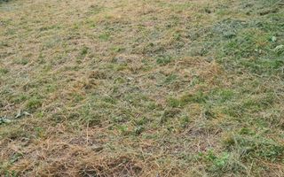 BLACK FRIDAY I Casa 3 camere I 1000 mp Teren I Amnas - Poză 5