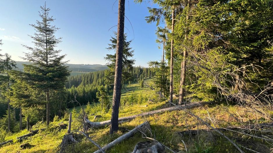 50 hectare teren | Moldova-Sulita | Potential turistic si agricol - Poză 3