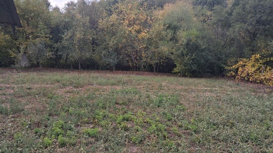 Casă tradițională cu teren generos – Borosteni, Peștișani, jud. Gorj - Poză 3