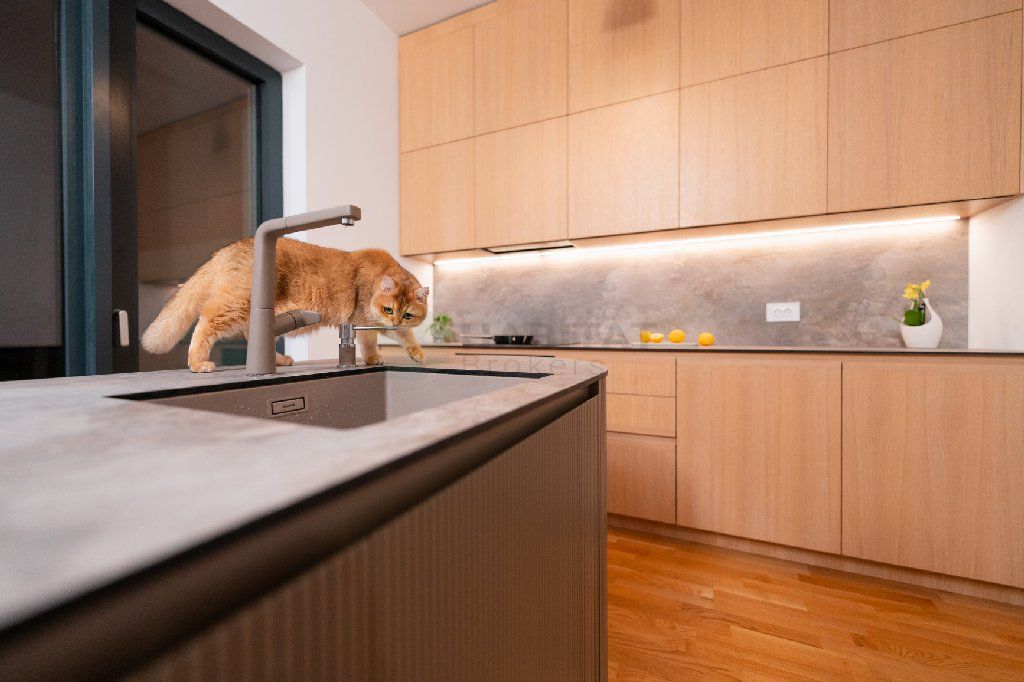 Vila 6 camere / Townhouse Avalon Estate - Poză 20