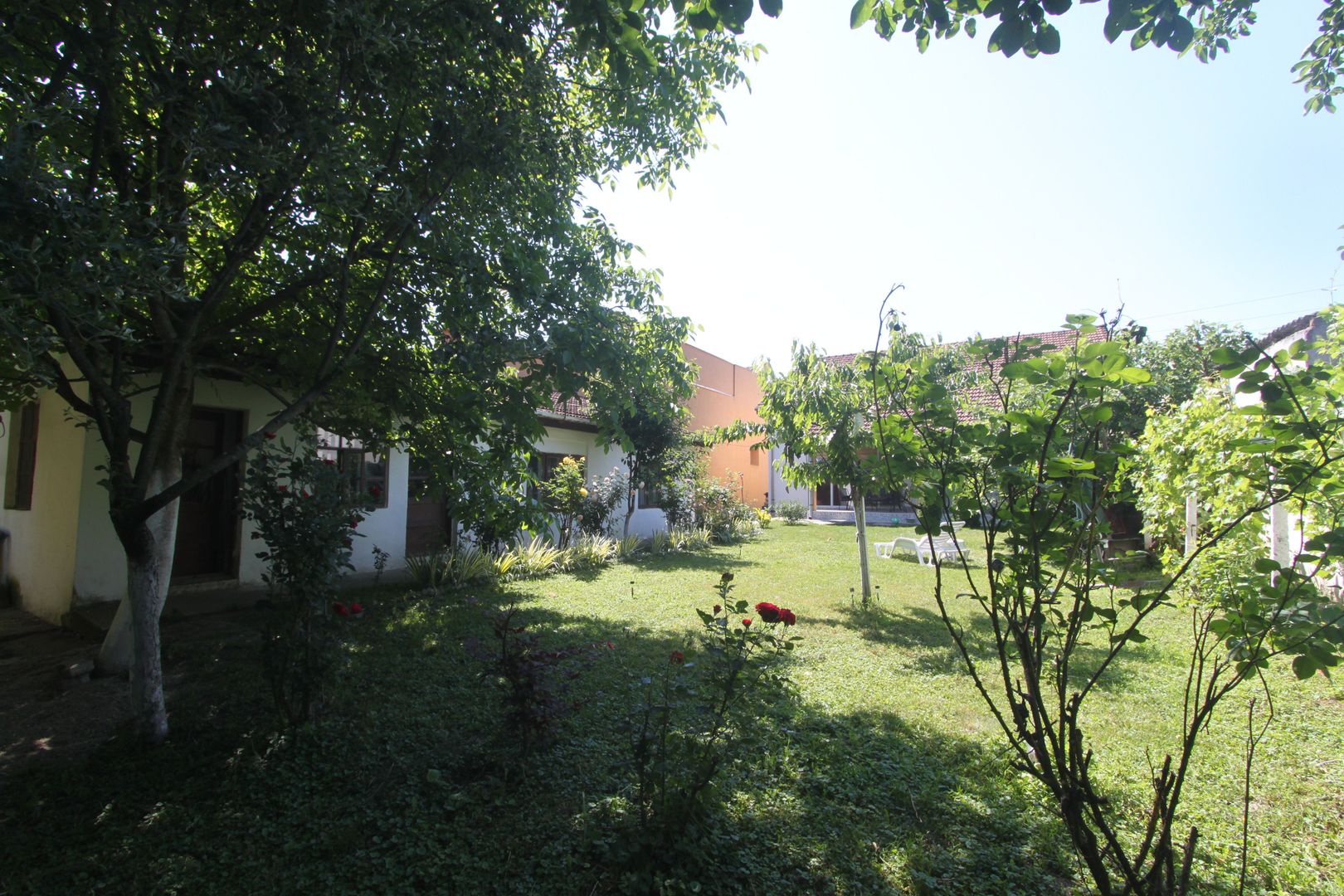 Vila-Timisoara -aleea Ghirodei-comision zero - Poză 1