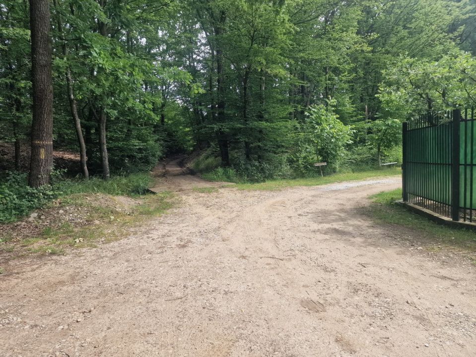 Teren extravilan Pitesti - str. Balotesi!! - Poză 3