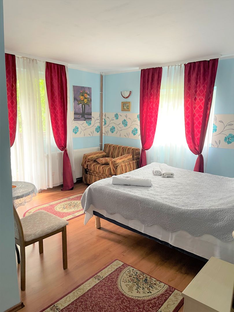Proprietate in incantarea naturii, oportunitate investitie/rezidential, Predeal - Poză 15