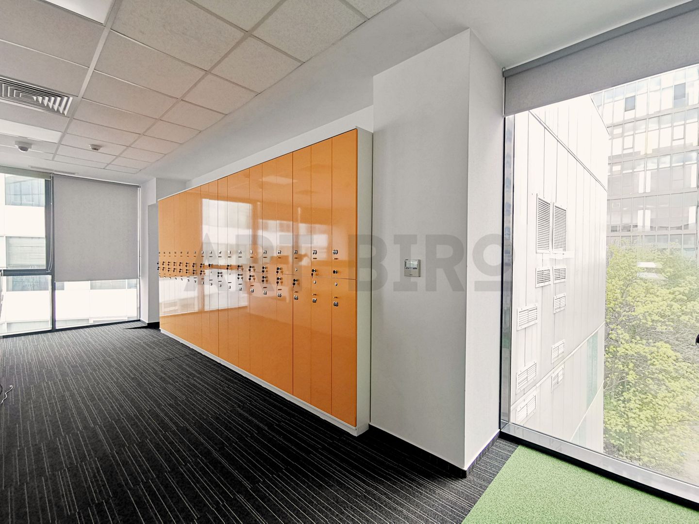 Zero comision, birou cu acomodare in regim instant office, Floreasca - Poză 4