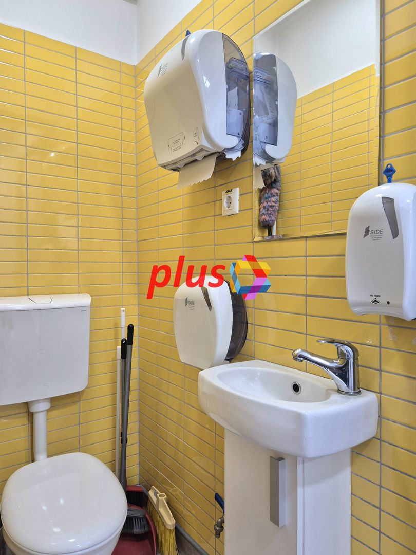 Proprietar - casa 5 camere singur in curte zona Brasovechi Crisan - Poză 12