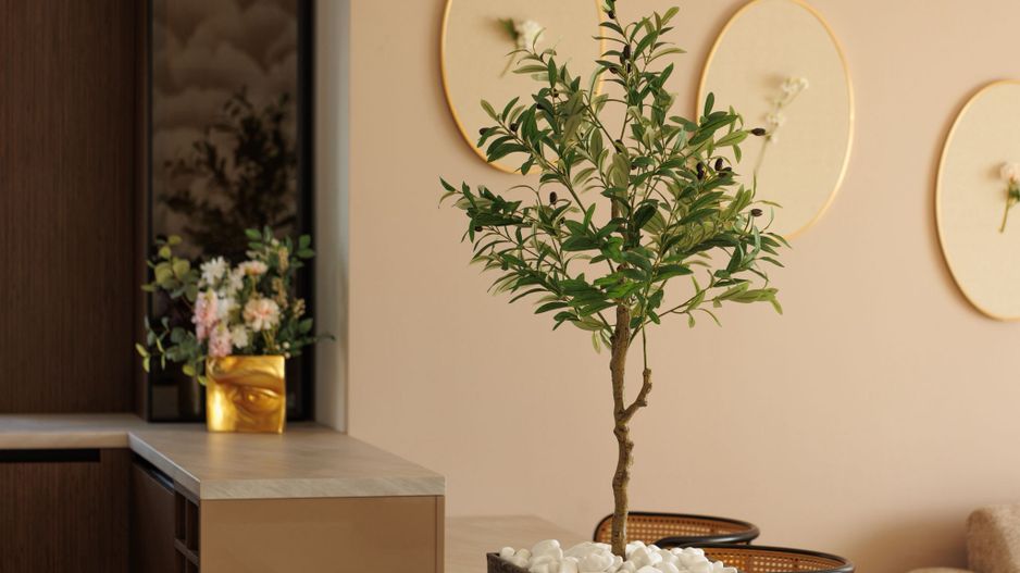 Apartament cu 3 camere in Mosaic Residence, Tractorul - Poză 4