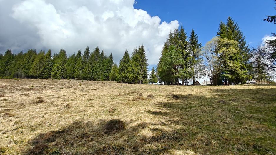 Teren intravilan, 1500 mp, Dealu Botii, com Belis, Comision 0 - Poză 2
