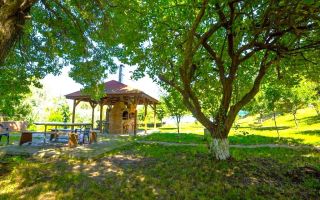 Oportunitate de investitie| Delta Dunarii |Mila 23| pensiune activa - Poză 8