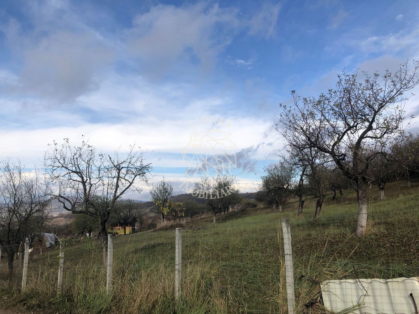 Teren intravilan 3800 mp-pretabil case-parcelabil-Zona Cartier Raal - Poză 4