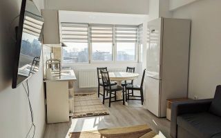 AP 2 CAM NOU TUDOR OANCEA TATARASI - Poză 2