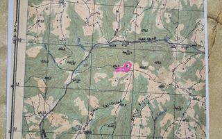 Teren Partial Intravilan | 3 ha | Serani | Bihor - Poză 2