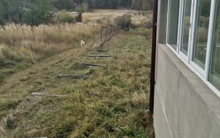 Vanzare vila Hintesti, stradal - Poză 6