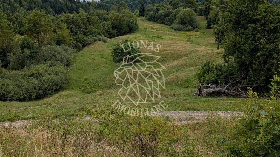 Teren 550 mp - ideal Cabana turistica- utilitati-panorama lac Colibita - Poză 2