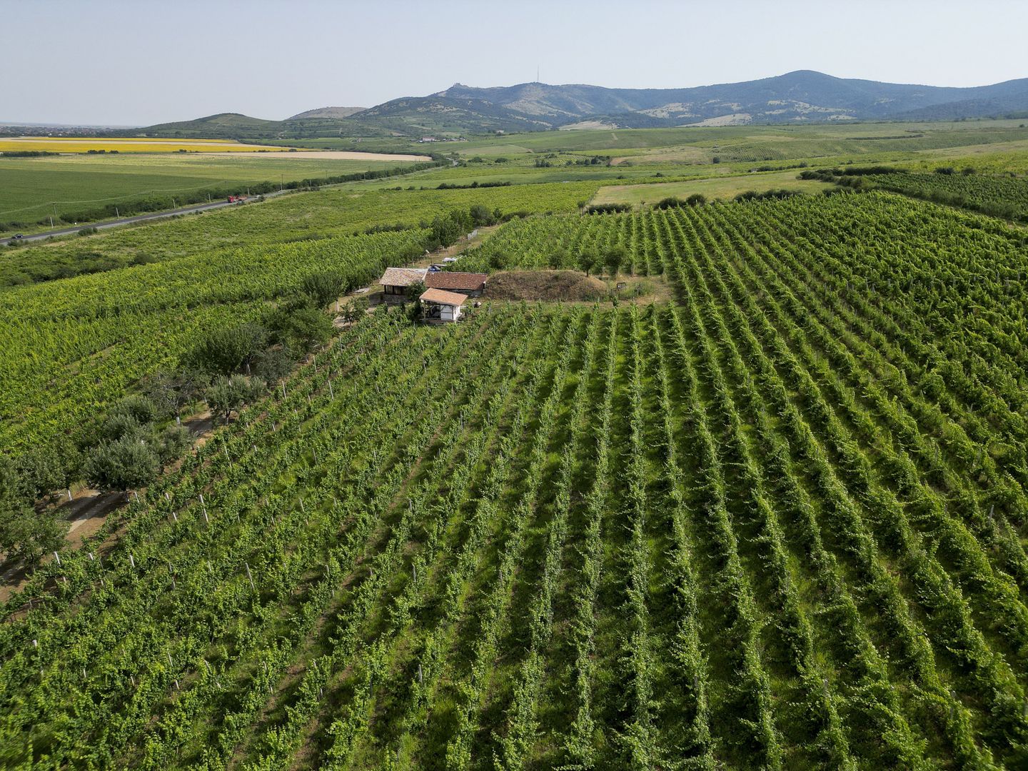 Vie Tradițională „Halta Lupilor” - Poză 42