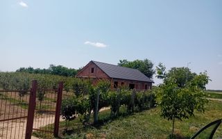 Vand/Schimb Livada Belint 16000mp - Poză 18
