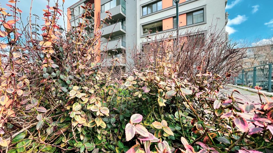 REZERVAT - IRIS Sagului | 41.7 mp - decomandat | Loc parcare privat | Comision 0 - Poză 38