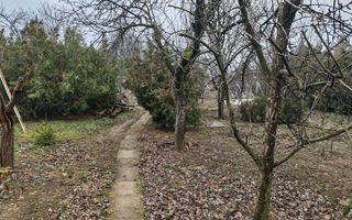 Teren 2.600 mp, utilități, Str. Merișor – Giurgiu - Poză 11