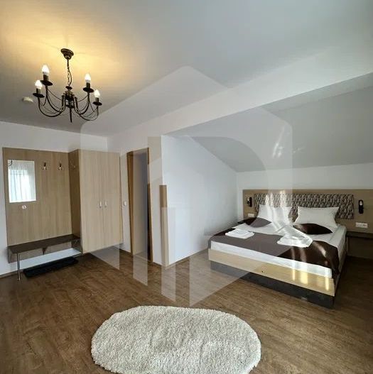Pensiune de vanzare | Paltinis | 330mpu | 8 Camere | Functionala 100% - Poză 4