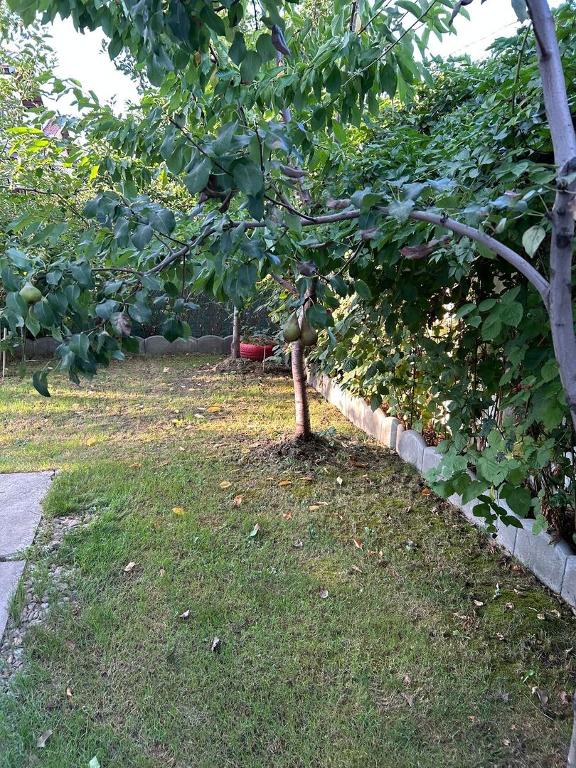 Vilă 4 camere | Tunari | De Vânzare - Poză 7