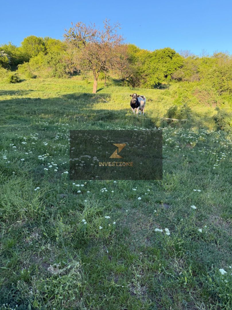⭐  Teren de 2.700 mp cu front generos – Ocazie în Oncea - Poză 24