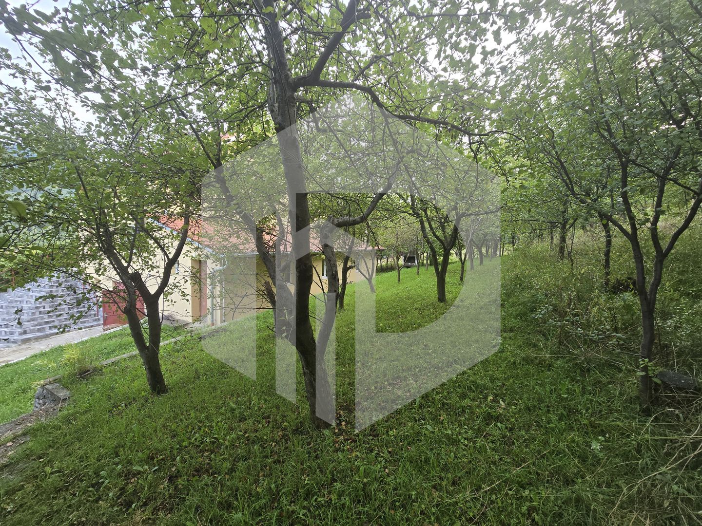 Casa individuala 4 camere teren 3825 mp Cisnadioara - Poză 10