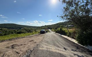 Tern intravilan - 8.6 ari, 2 parcele. Str.Podgoriei-Valea Ghinzi - Poză 5