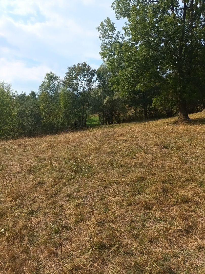 Teren de vanzare Coebeni-Turburea-Arges - Poză 3