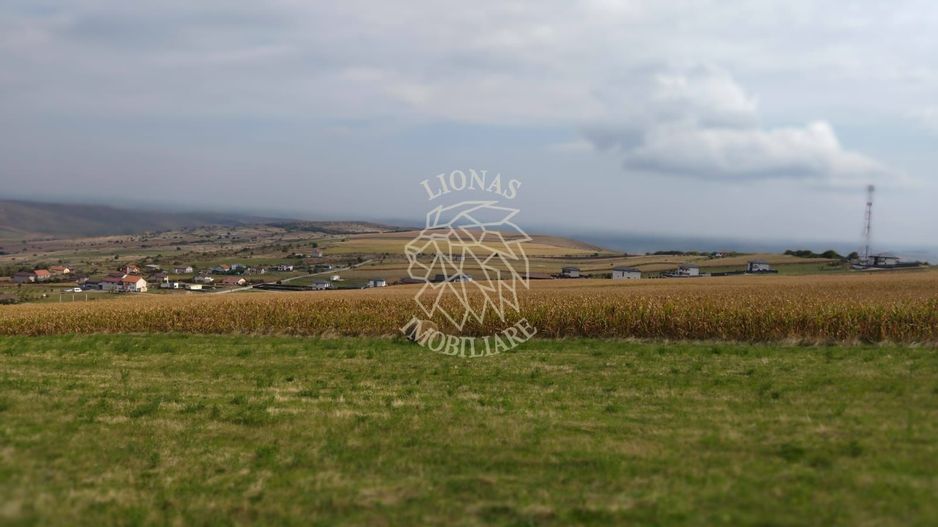 3 Parcele in Zona Fanate-oportunitate unica de investitie-Cluj-Napoca - Poză 8