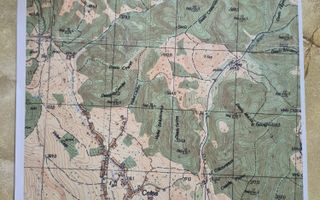 Teren Partial Intravilan | 3 ha | Serani | Bihor - Poză 3