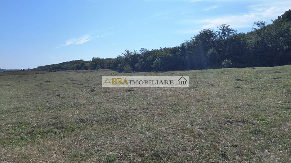 Teren intravilan investitie turism balnear fonduri europene - Poză 2