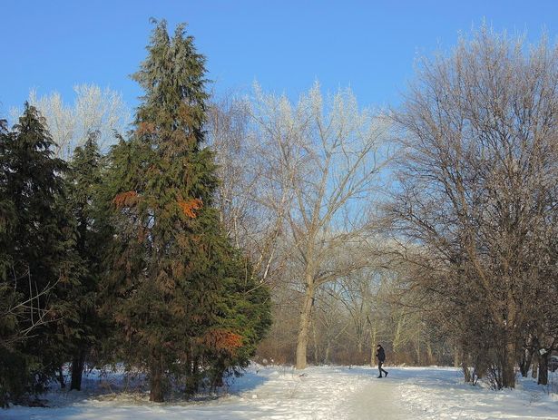 Apartament 2 camere Titan - Poză 1