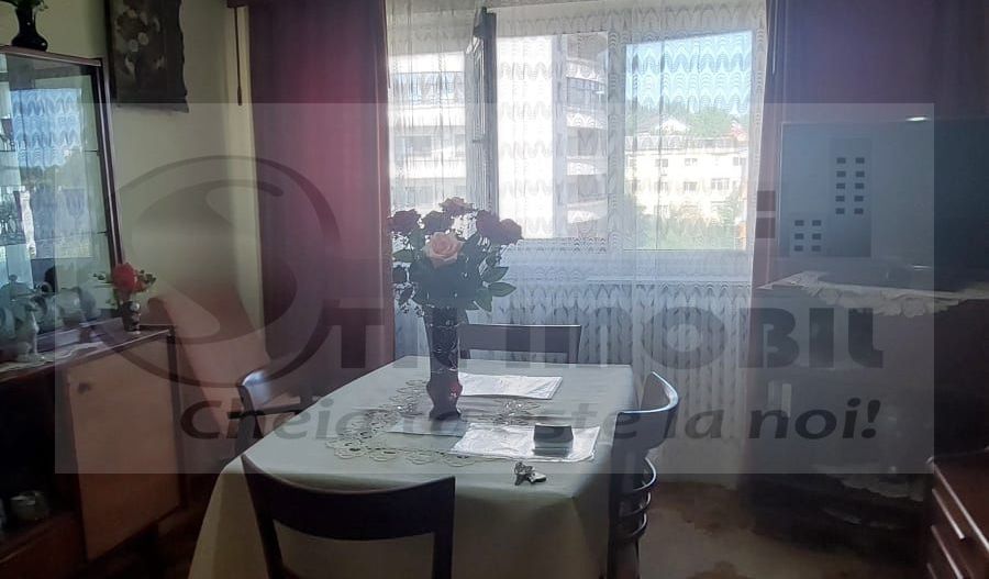 APARTAMENT 2 CAMERE DECOMANDAT PODU DE FIER 90000 EURO - Poză 4