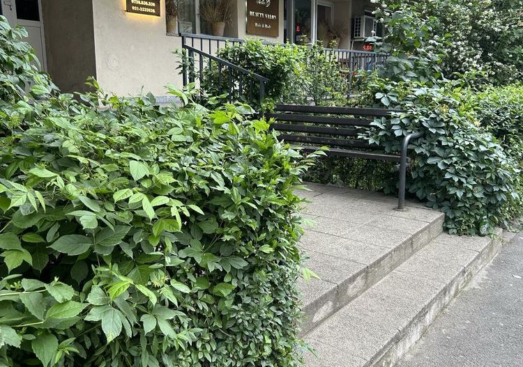 Apartament 3 camere | Mihai Bravu - Poză 8