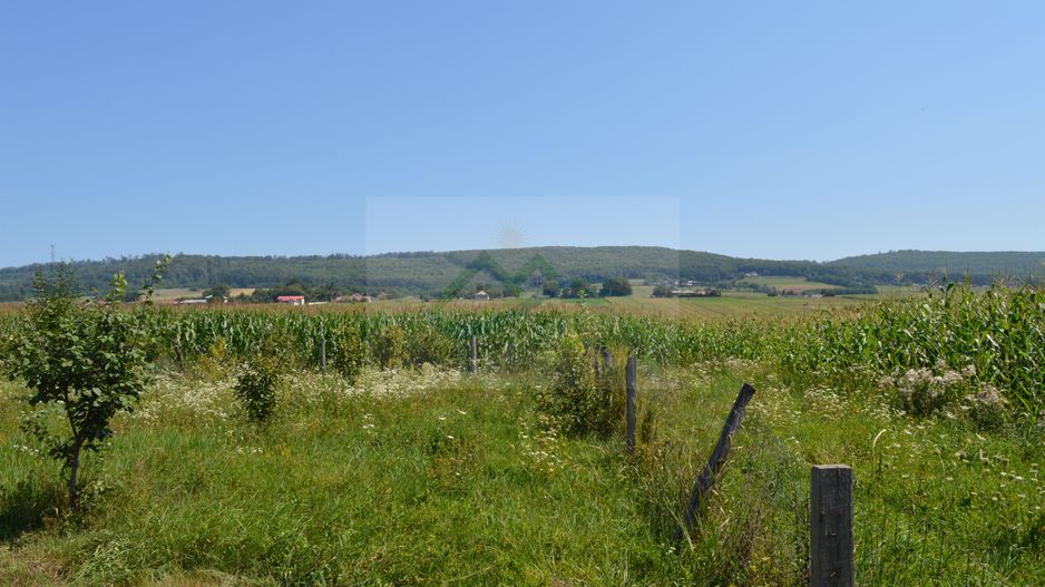 Casă 5 camere Siliștea Nouă/Suceava - Poză 6