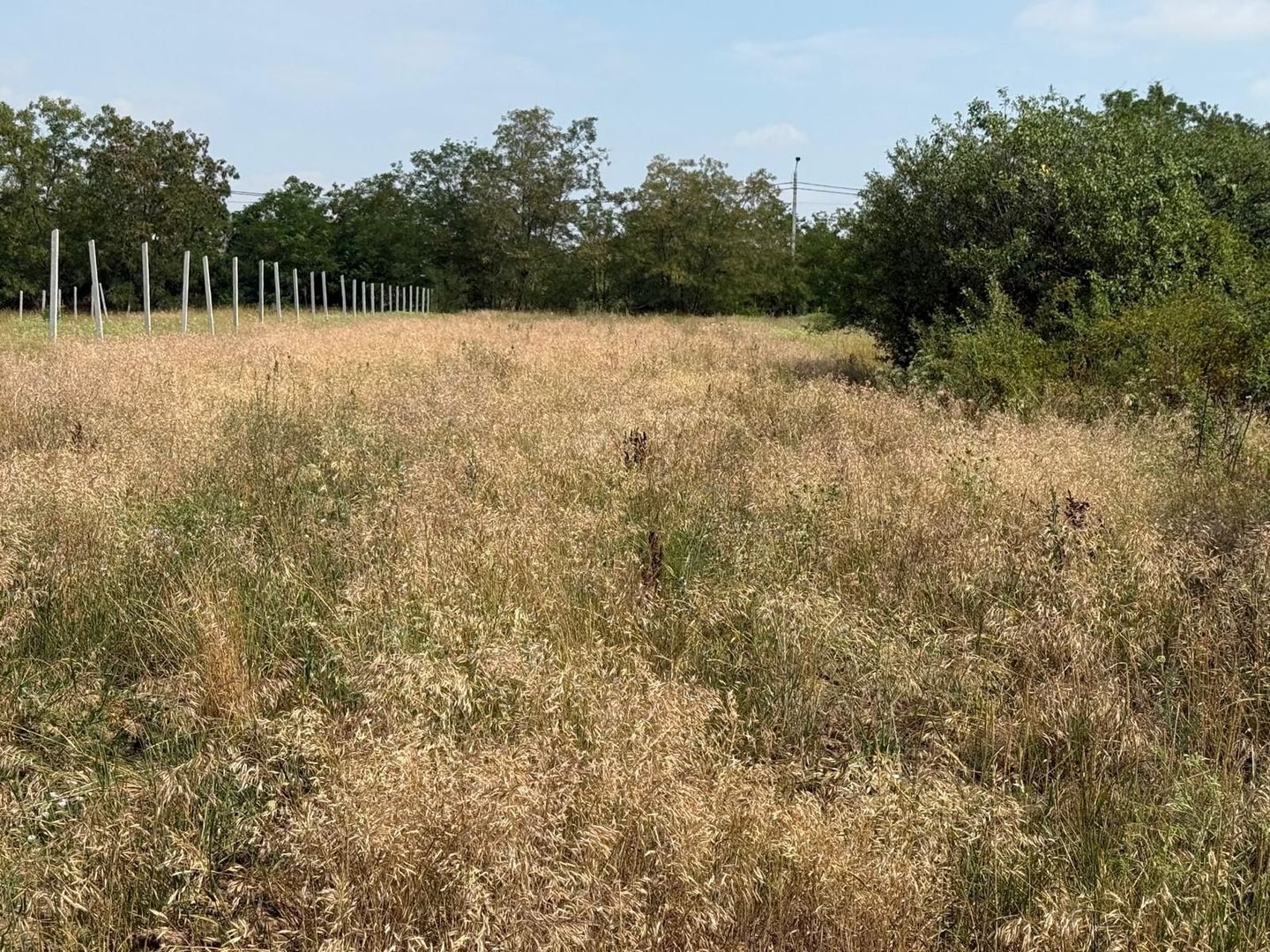 Teren intravilan Miersig, vedere la lac. 12,5 E/mp neg. Comision 0 - Poză 14