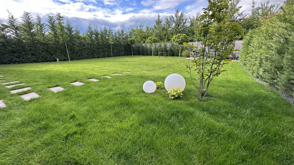 PROIECT  DEOSEBIT  IN  DUMBRAVITA - Poză 19