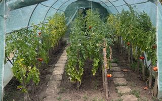 Casa | 9 camere | Garaj | Piscina | Teren 3.000 mp | Comision 0% - Poză 43