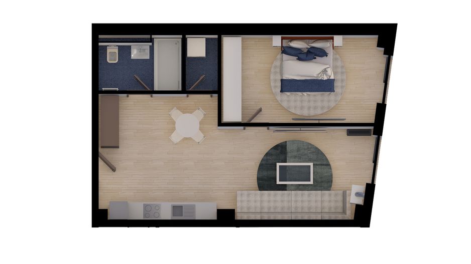 Circumvalatiuni-Lidl | Vedere Panoramică | Parcare subterană | Comision 0% - Poză 16