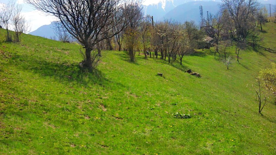 teren intravilan in zona Magura Bran - Poză 26