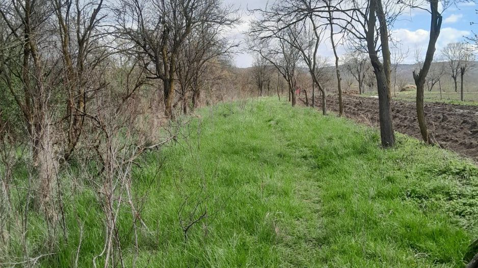 Teren de vanzare in Vaidei - Poză 8